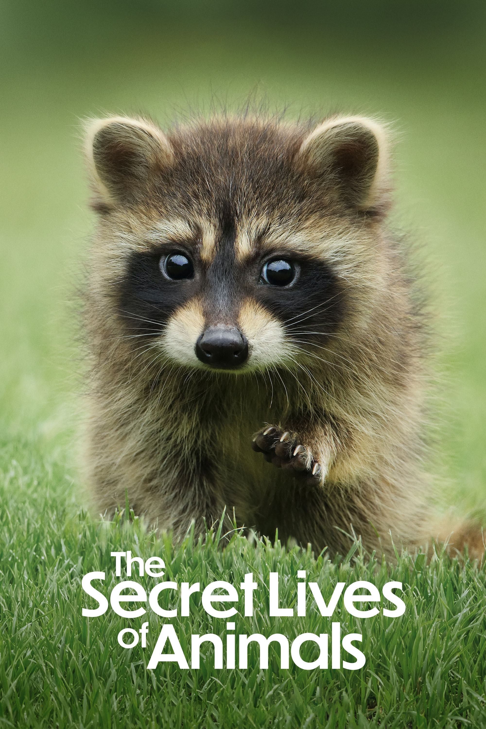 Bí Ẩn Về Thế Giới Động Vật - The Secret Lives Of Animals (2024)