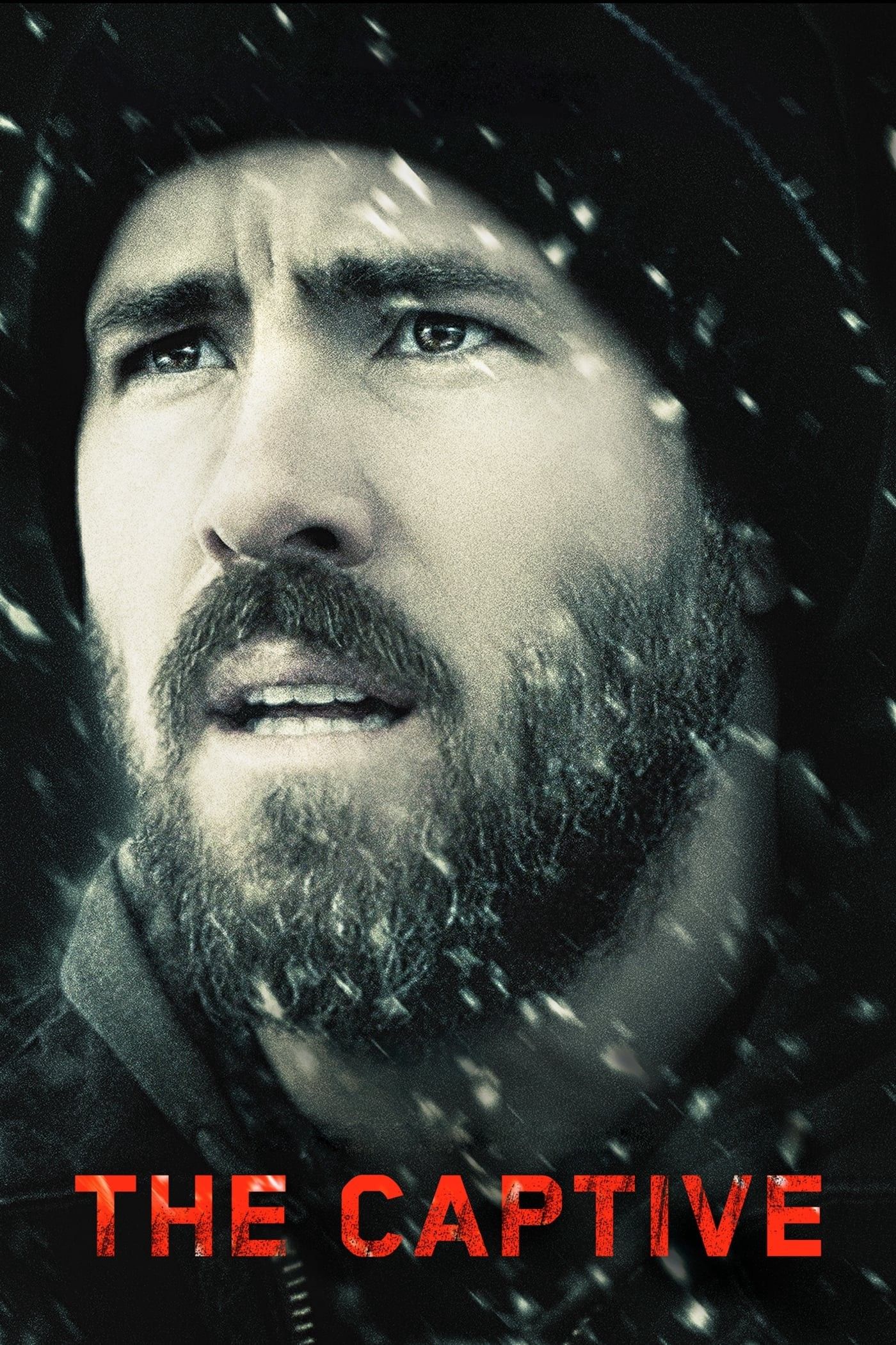 Giam Cầm - The Captive (2014)